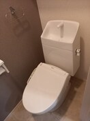 同仕様 ソレアード・ポールⅡ