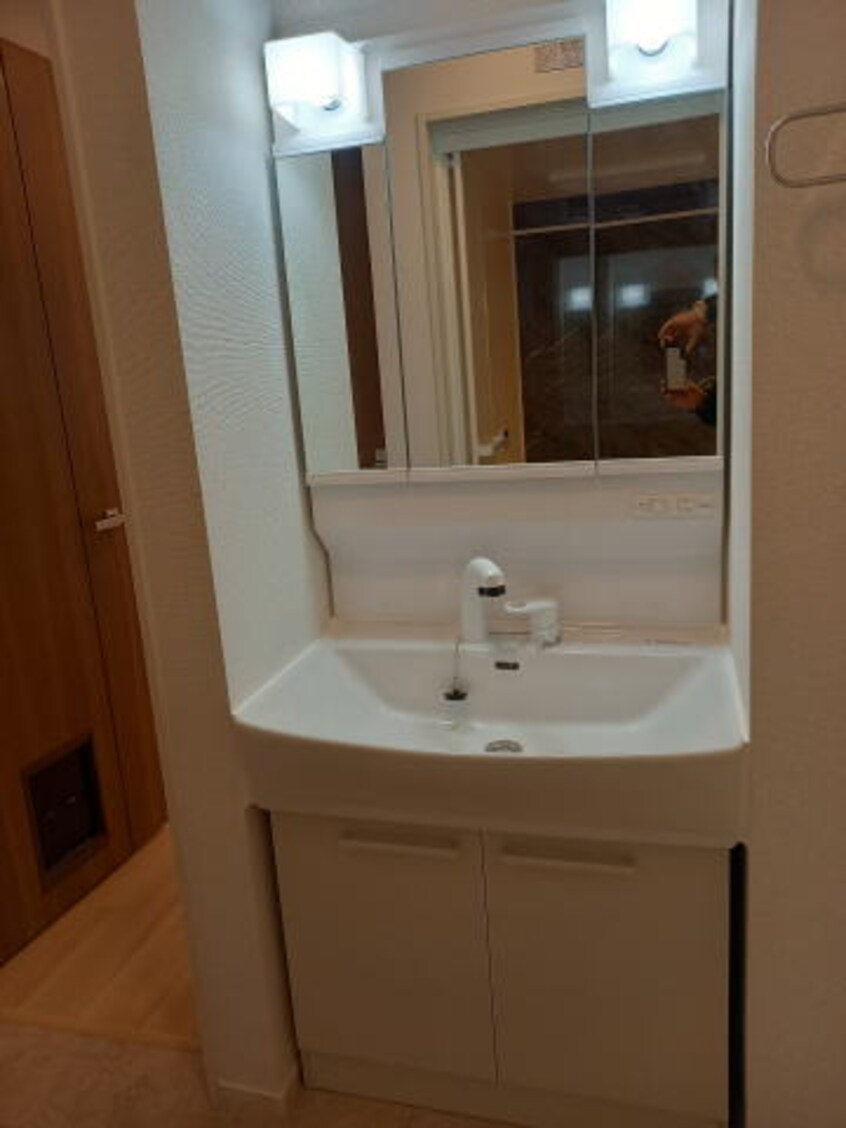 同仕様 ソレアード・ポールⅢ