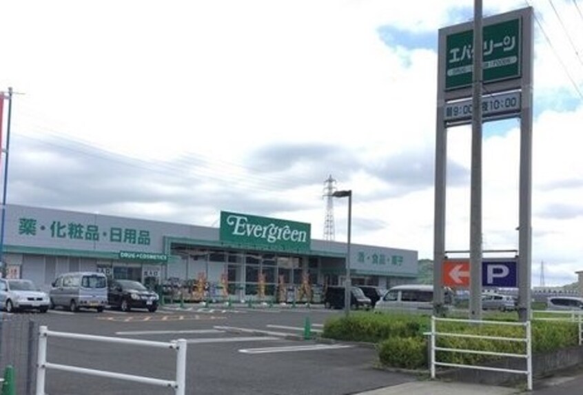 エバグリーン和佐店(スーパー)まで1274m 和歌山線/田井ノ瀬駅 徒歩8分 2階 築8年