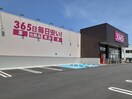ディスカウントドラッグコスモス 岩橋店様(ディスカウントショップ)まで359m 和歌山線/田井ノ瀬駅 徒歩8分 2階 築8年