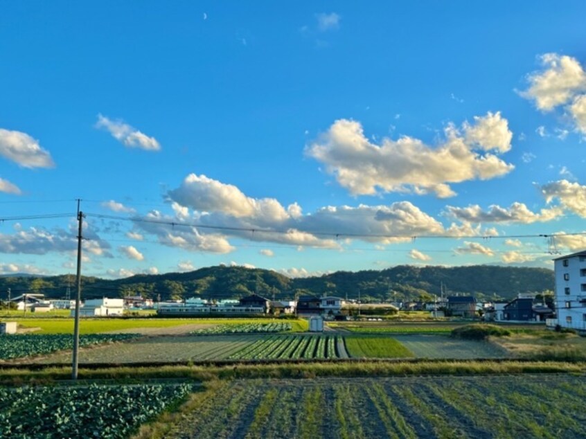  和歌山線/田井ノ瀬駅 徒歩9分 2階 築17年