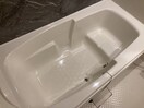 同仕様 サニーホワイトⅧ