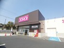 ドラッグストアコスモス 橋谷店様(ドラッグストア)まで1350m カノンⅠ