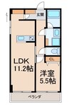 岩橋マンション 1LDKの間取り