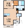 阪和線・羽衣線/紀伊中ノ島駅 徒歩25分 1階 建築中 1LDKの間取り