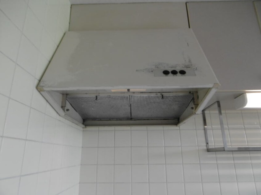 同仕様 レスポワールⅠ