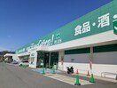 スーパーエバグリーン岩出高塚店様(スーパー)まで1307m セレーノ