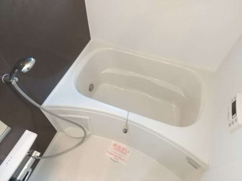  セレッソ・アンジュⅡ