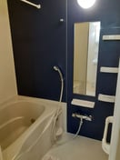  パレ・エクセランⅤ