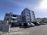 Solis 有家