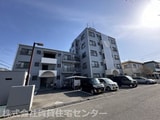 Solis 有家