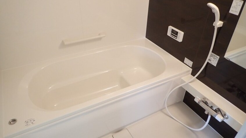  イゾラ ルーチェ