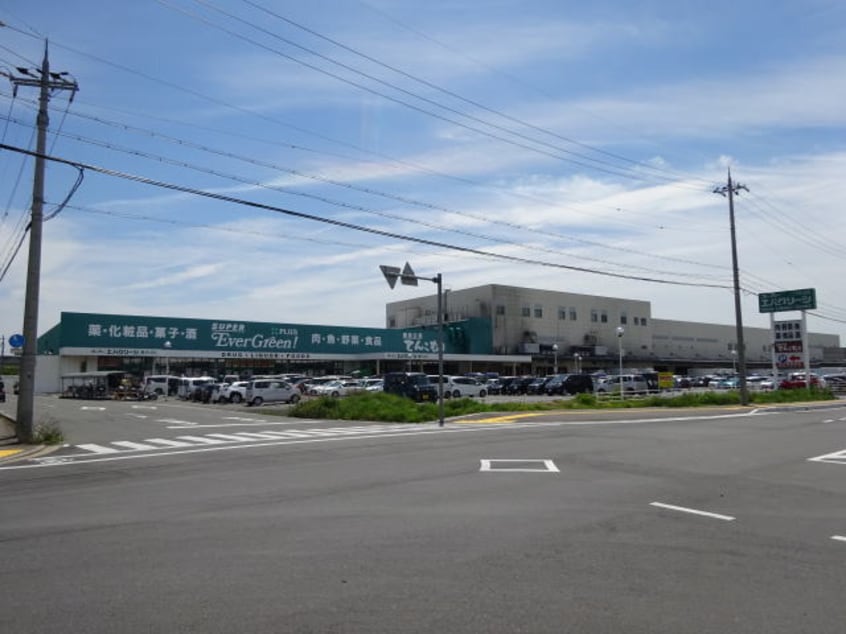 スーパーエバグリーンプラス 和歌山北インター店(スーパー)まで2980m グランデ・フォルテW