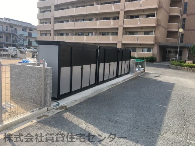  サウスグランパス