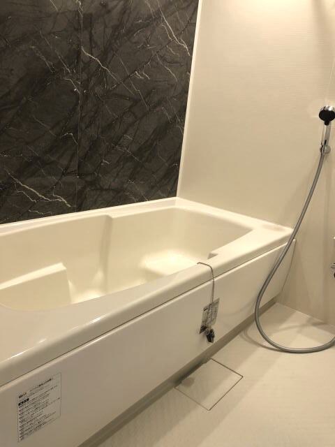 同仕様 ジェラート