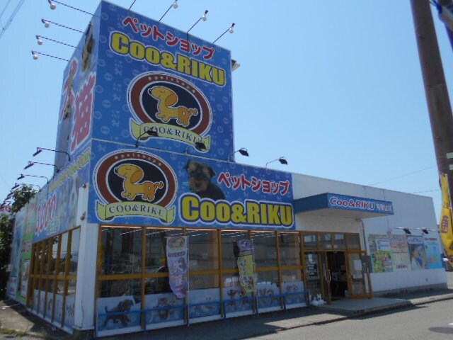 ペットショップCoo&RIKU 和歌山店様まで785m きのくに線・紀勢本線/紀三井寺駅 徒歩4分 2階 築6年