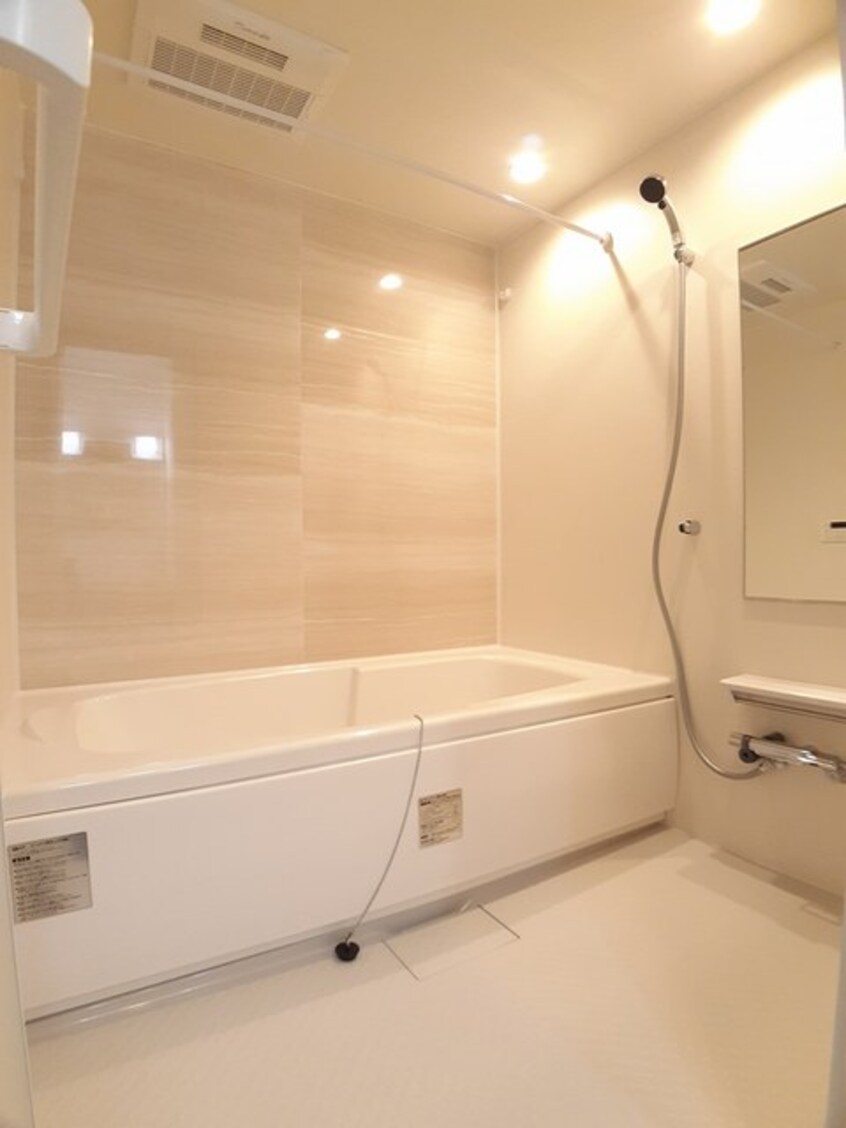  ランデックス　Ⅱ