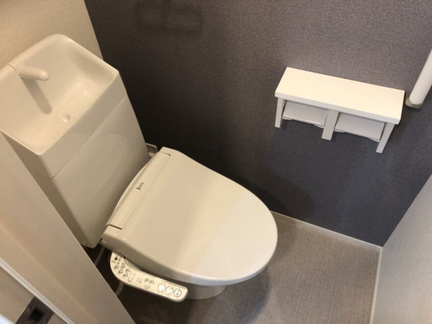 同仕様 カルムメゾンⅡ