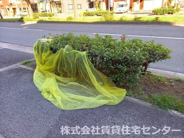  Ｒｉｔｚ　Ｃａｒｌｔｏｎ