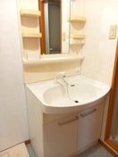 同仕様 Ｒｉｔｚ　Ｃａｒｌｔｏｎ