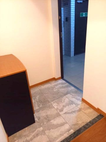 同仕様 Ｒｉｔｚ　Ｃａｒｌｔｏｎ