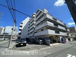 マグノリア