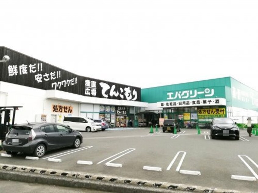 エバグリーン 宮街道店様(スーパー)まで1339m モナリエan