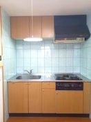 同仕様 Ｒiｔｚ　Ｃaｒｌｔｏｎ