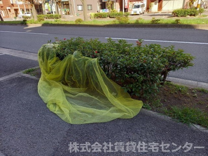  Ｒiｔｚ　Ｃaｒｌｔｏｎ