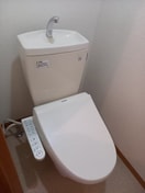 同仕様 Ｒiｔｚ　Ｃaｒｌｔｏｎ