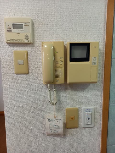 同仕様 Ｒiｔｚ　Ｃaｒｌｔｏｎ