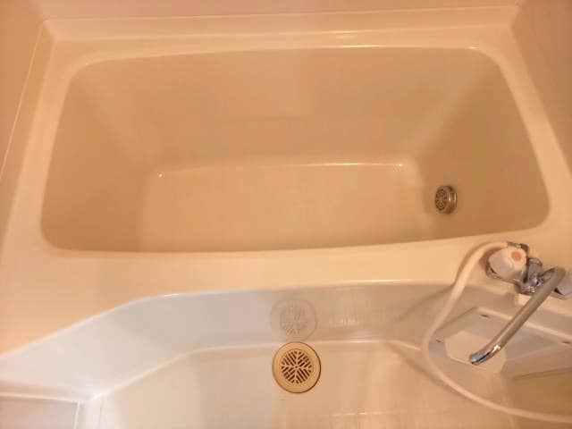 同仕様 Ｒiｔｚ　Ｃaｒｌｔｏｎ