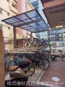  Ｒiｔｚ　Ｃaｒｌｔｏｎ