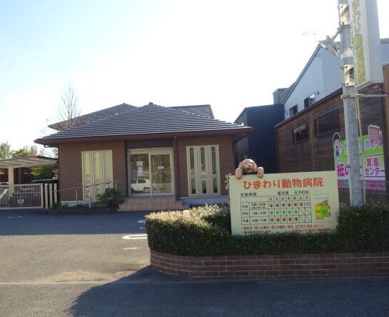 ひまわり動物病院様 1751m グレイス箕島