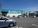 エバグリーン高野口店様(ドラッグストア)まで894m バリュージュ保田