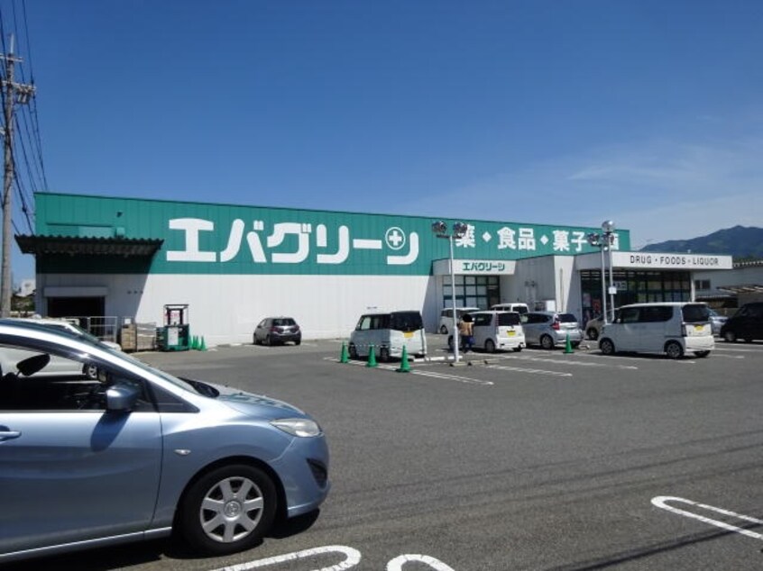 エバグリーン高野口店様(ドラッグストア)まで894m バリュージュ保田