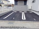  D-Luce 秋月