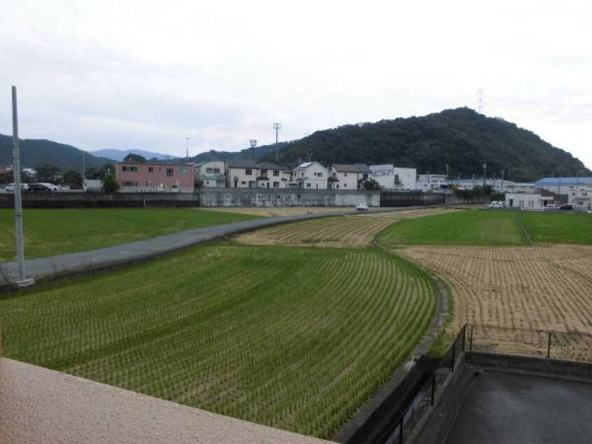  きのくに線・紀勢本線/黒江駅 徒歩18分 2階 築14年