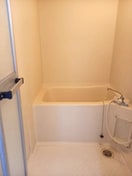 同仕様 ファンシェット神前