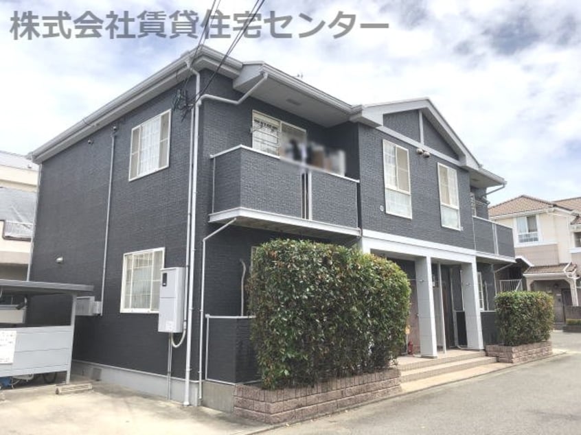  セーリウス梅原Ⅱ