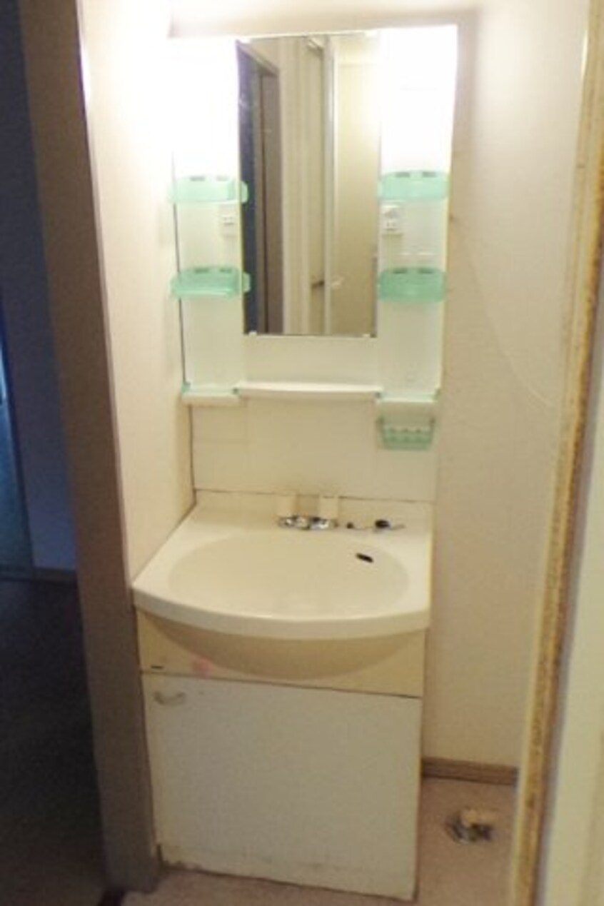  グリーンフルフェニックス