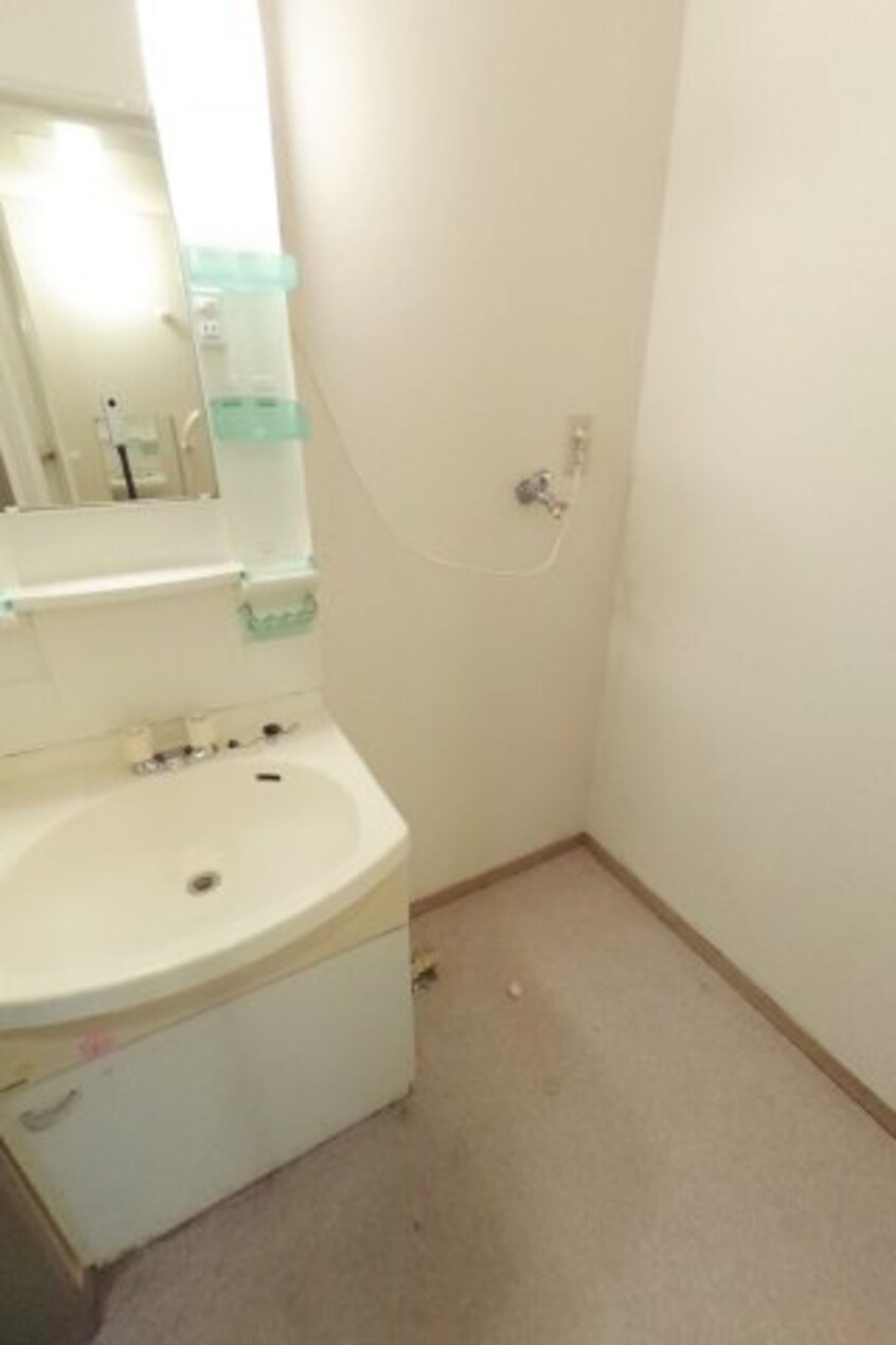  グリーンフルフェニックス