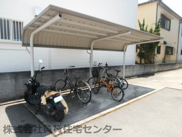  グリーンフルフェニックス