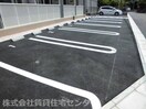  アルヴィータ