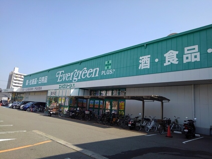 エバグリーンプラス広瀬店様(ディスカウントショップ)まで1341m 阪和線・羽衣線/和歌山駅 徒歩13分 1階 築19年