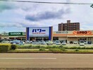 コメリパワー紀ノ川店様(電気量販店/ホームセンター)まで1350m シャーメゾン縁Ⅱ