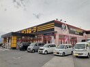 MEGAドン・キホーテ紀の川店様(ディスカウントショップ)まで886m シャーメゾン紀峰