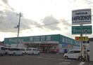 エバグリーン 吉備店様(ドラッグストア)まで1730m フレスコリーリオⅢ