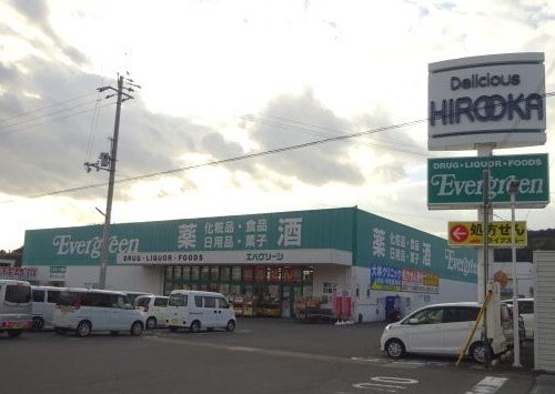 エバグリーン 吉備店様(ドラッグストア)まで560m ルーチェ　ソラーレⅡ