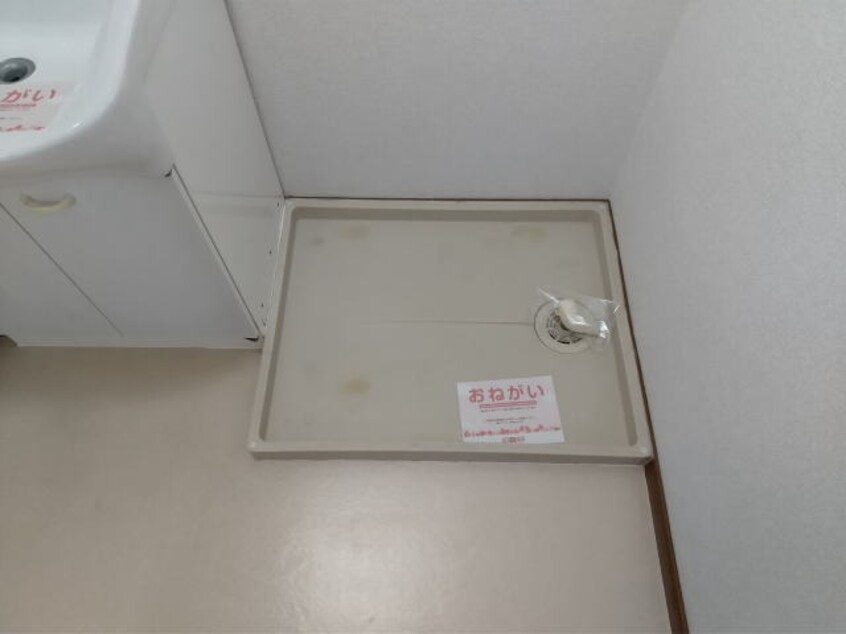  メゾンコニファーⅡ